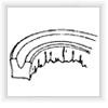 Extruded material on the dynamic side of a seal